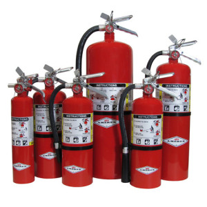 5 lb. Hand Portable Fire Extinguisher with Wall Hook (ABC)