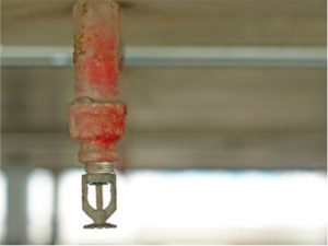 Old Rusty Fire Sprinkler Head